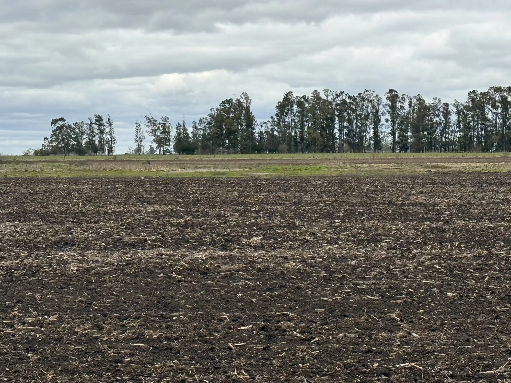 Campo agrícola en San Miguel del Monte