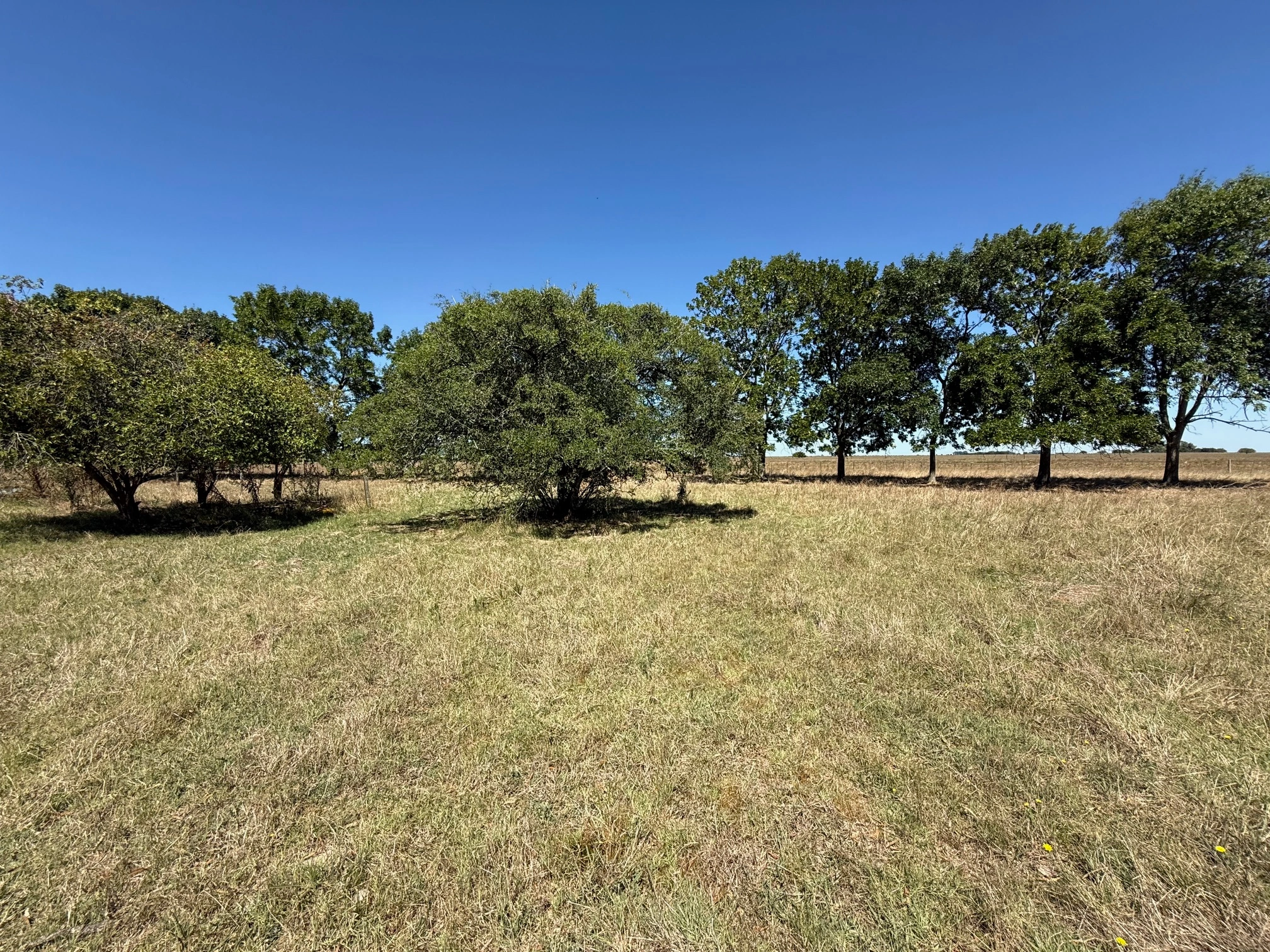 Estancia ganadera en Madariaga