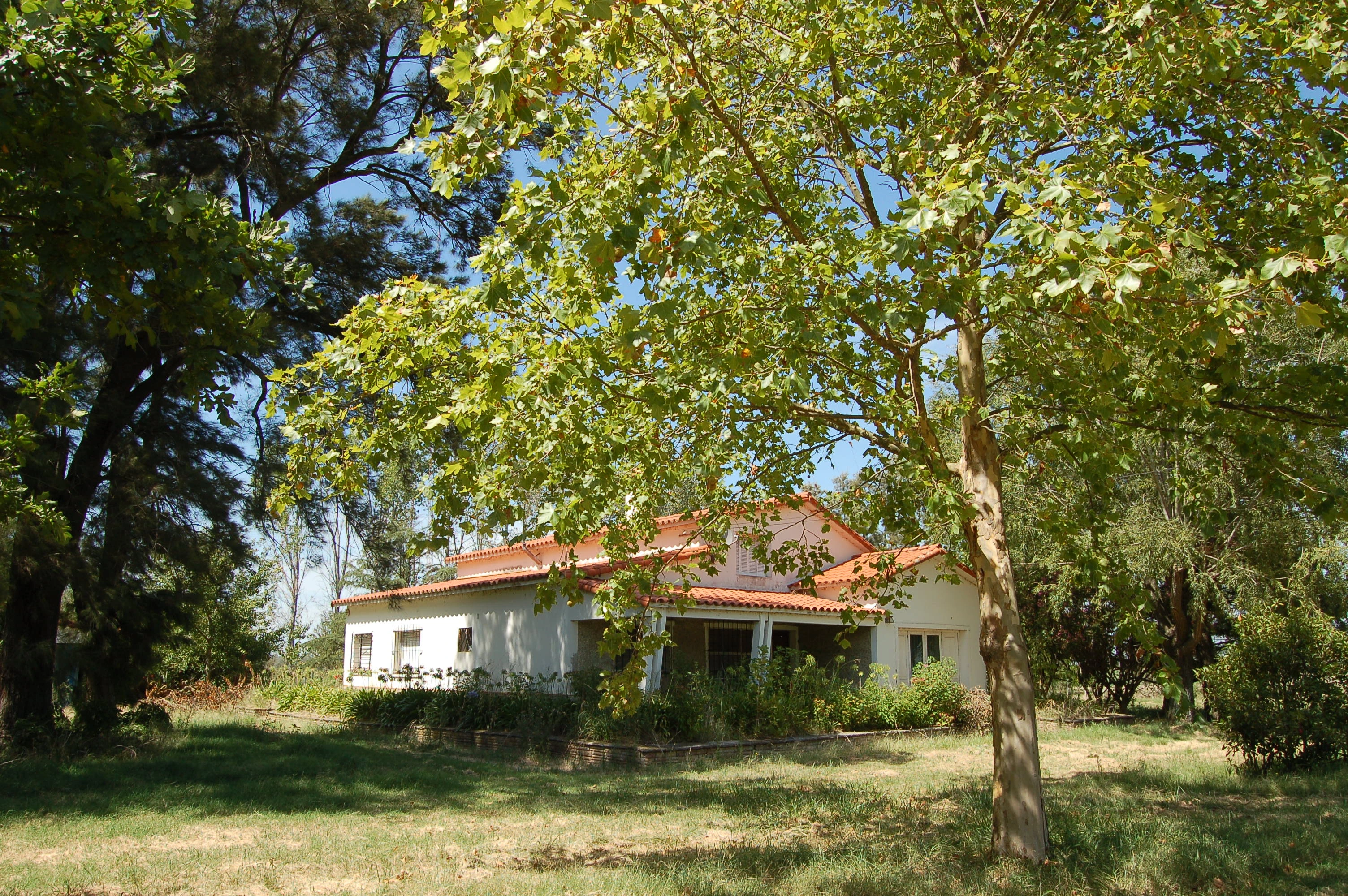 Campo mixto en Vedia