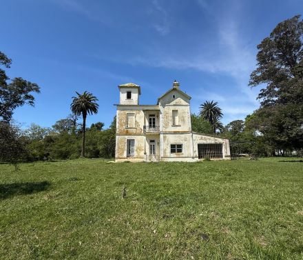 General Guido, 715 has Ganadero (Cría-Recría)