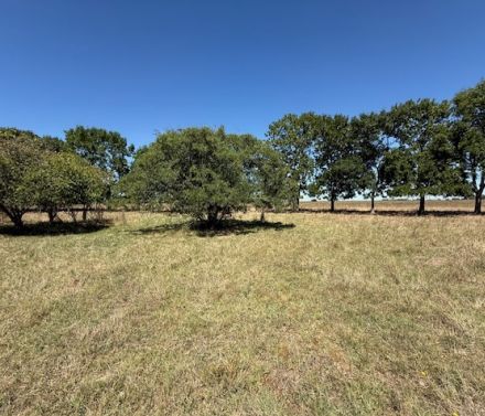 General Juan Madariaga 2500 ha Ganadero de ciclo completo